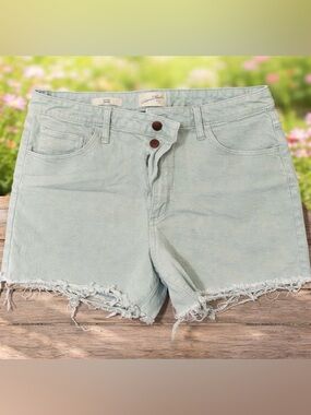 Casual High-Rise Distressed Hem Mint Green Women's Shorts Large- New Without Tag